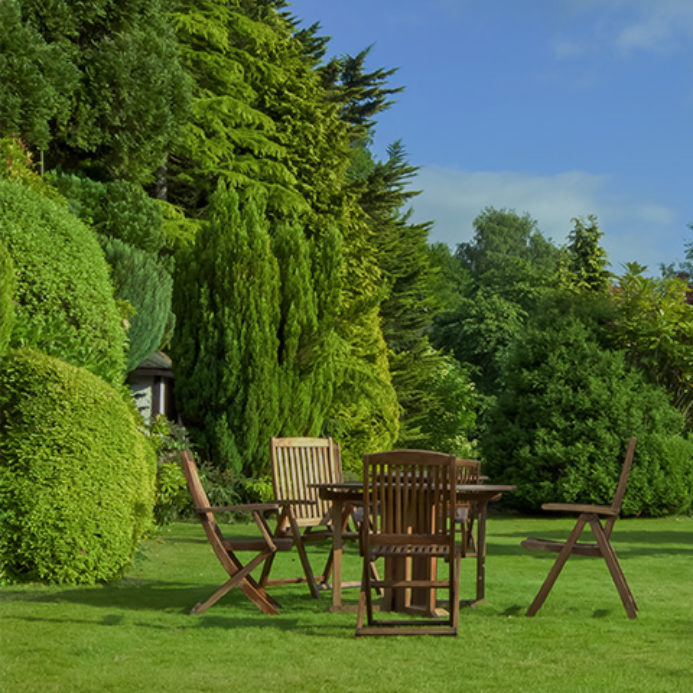 shrubs nursery